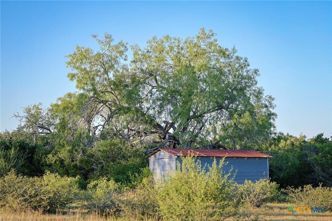 453 acres in Bee County - photo 20