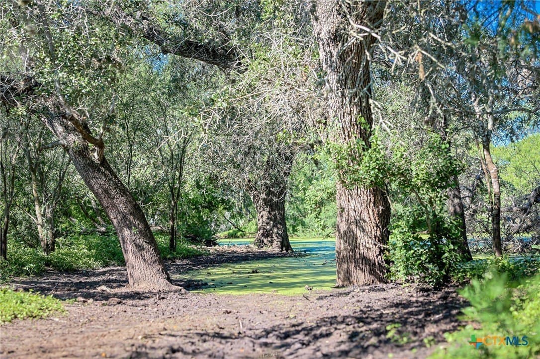 453 acres in Bee County - photo 43