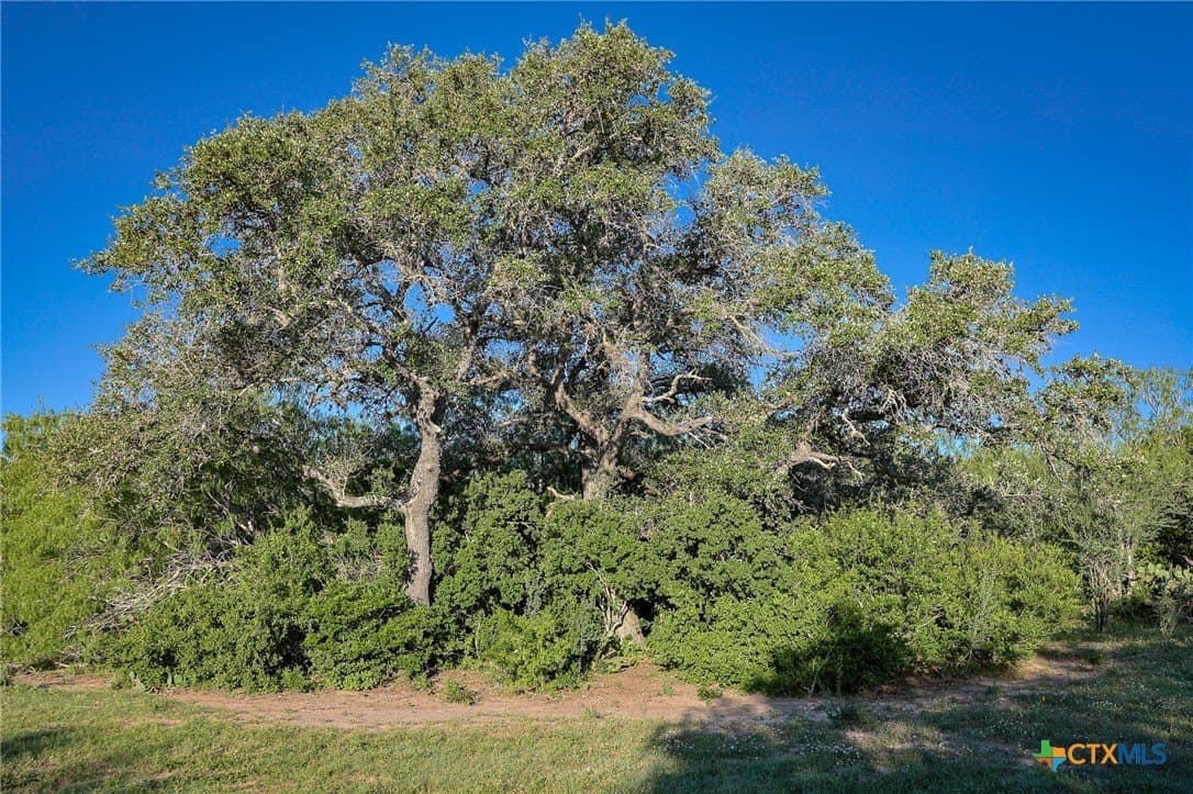 453 acres in Bee County - photo 26