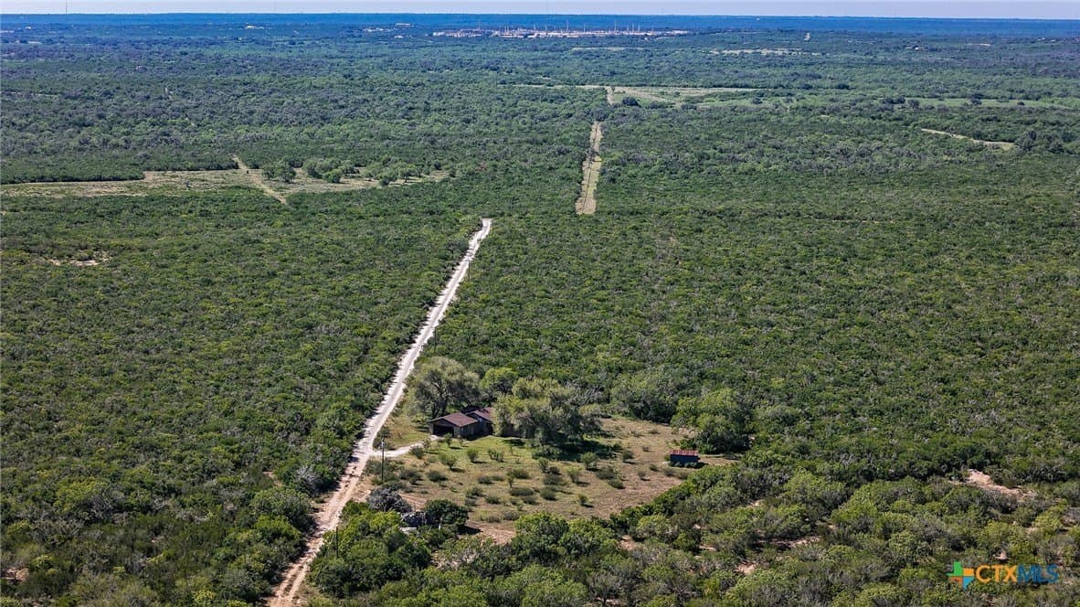453 acres in Bee County - photo 15