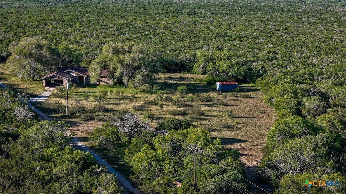 453 acres in Bee County - photo 11
