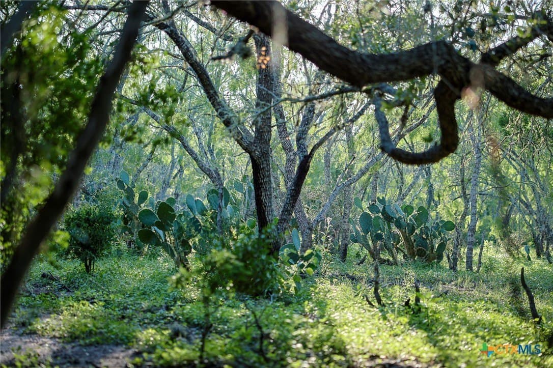 453 acres in Bee County - photo 35