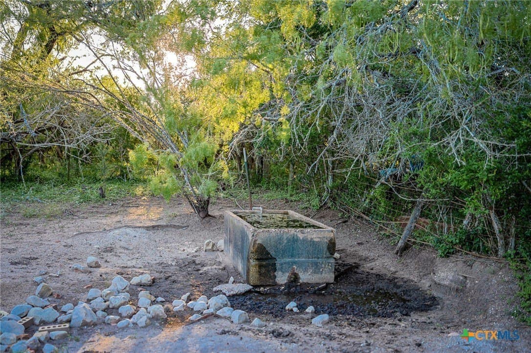 453 acres in Bee County - photo 19