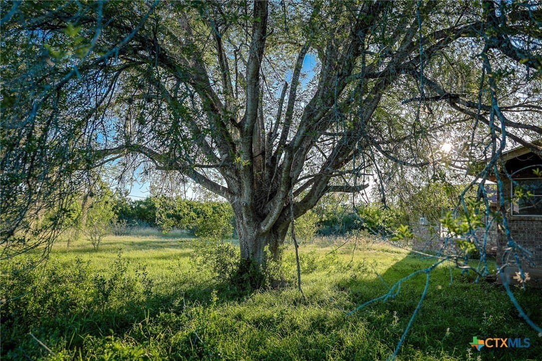 453 acres in Bee County - photo 21