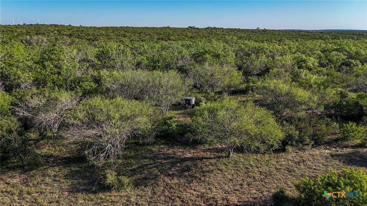 453 acres in Bee County - photo 10