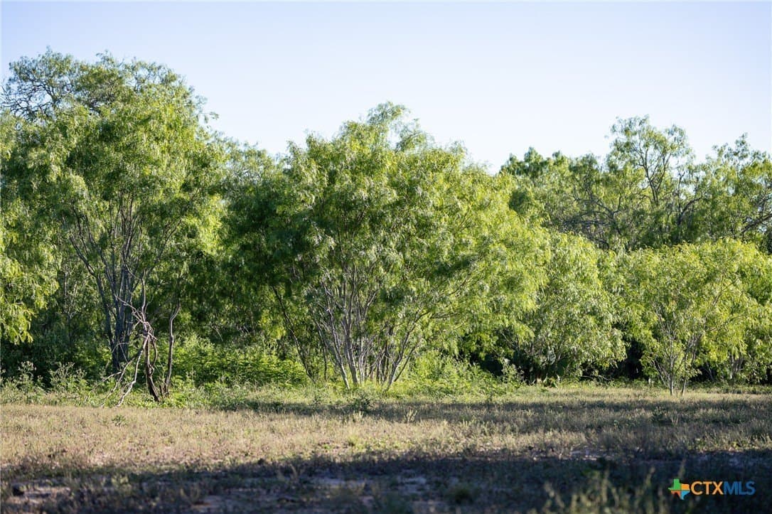 453 acres in Bee County - photo 38