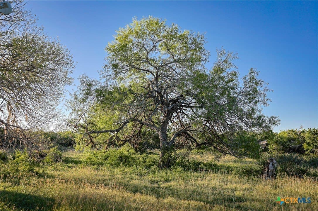 453 acres in Bee County - photo 22