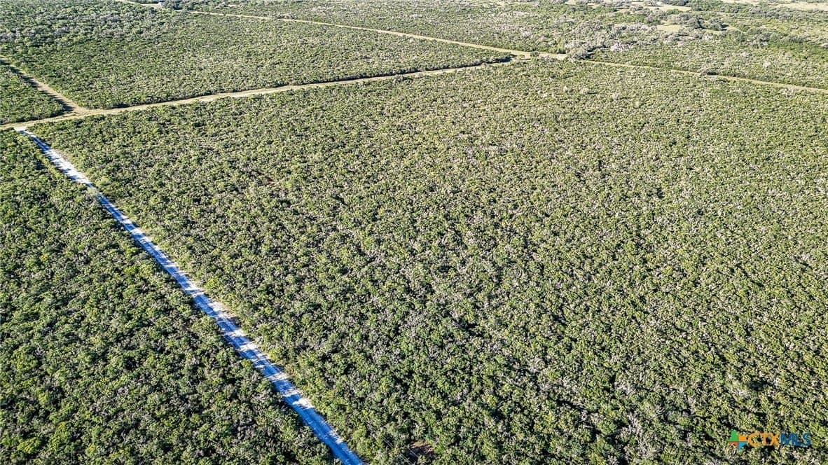 453 acres in Bee County - photo 6