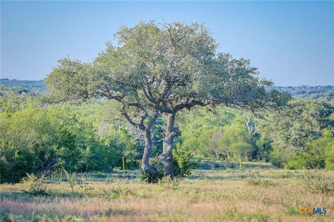 453 acres in Bee County - photo 28