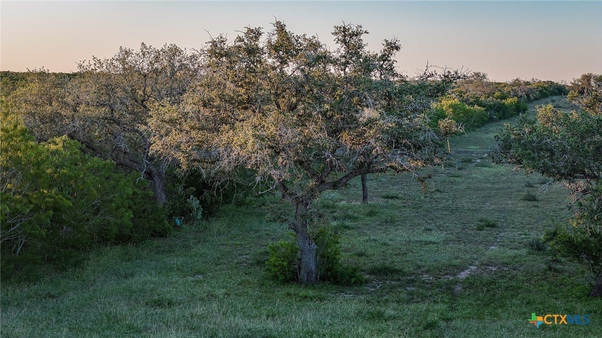 453 acres in Bee County featured view