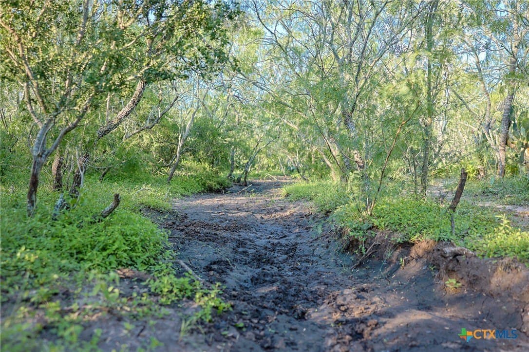 453 acres in Bee County - photo 33
