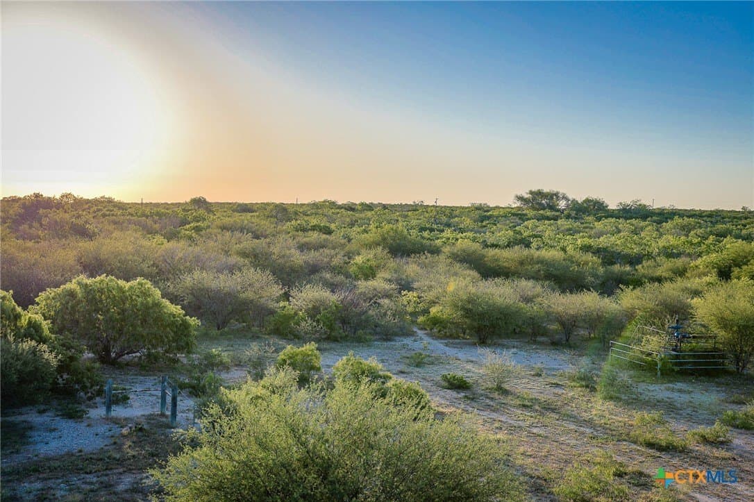 453 acres in Bee County - photo 17