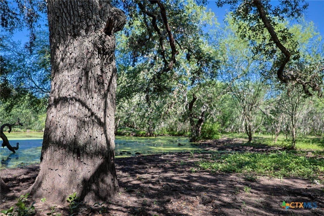 453 acres in Bee County - photo 44