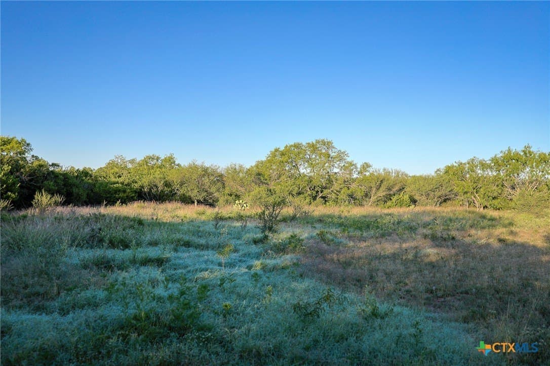 453 acres in Bee County - photo 18