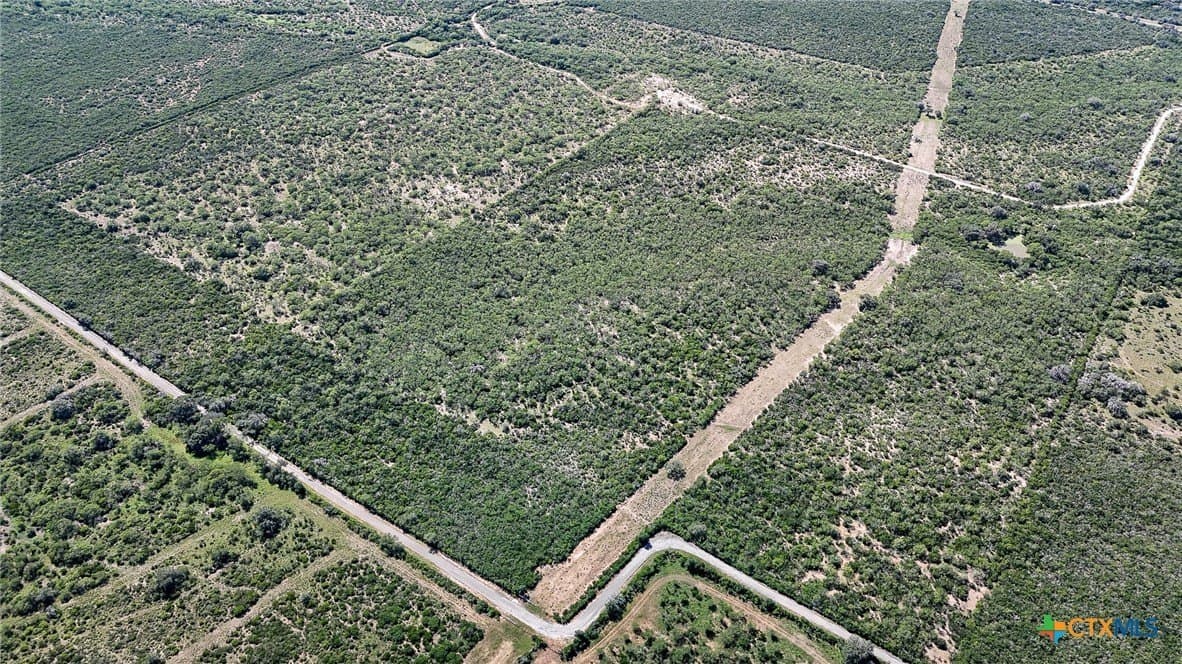 453 acres in Bee County - photo 12