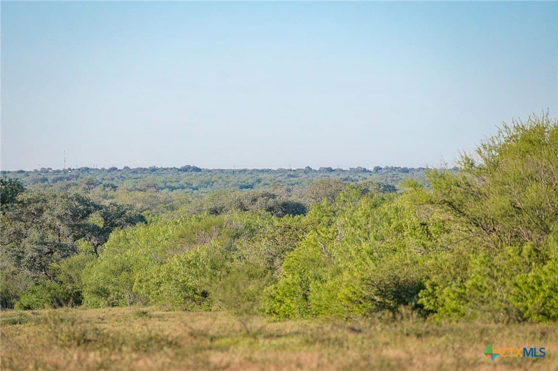 453 acres in Bee County - photo 34