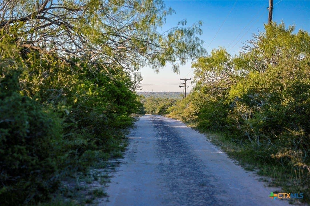 453 acres in Bee County - photo 25