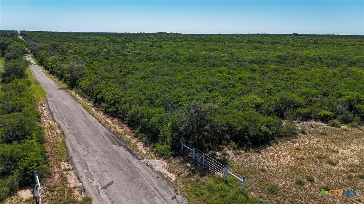 453 acres in Bee County - photo 13