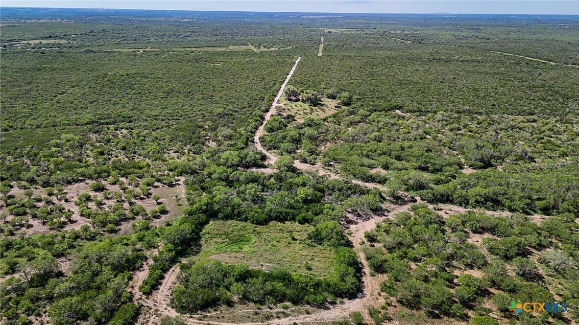 453 acres in Bee County - photo 14