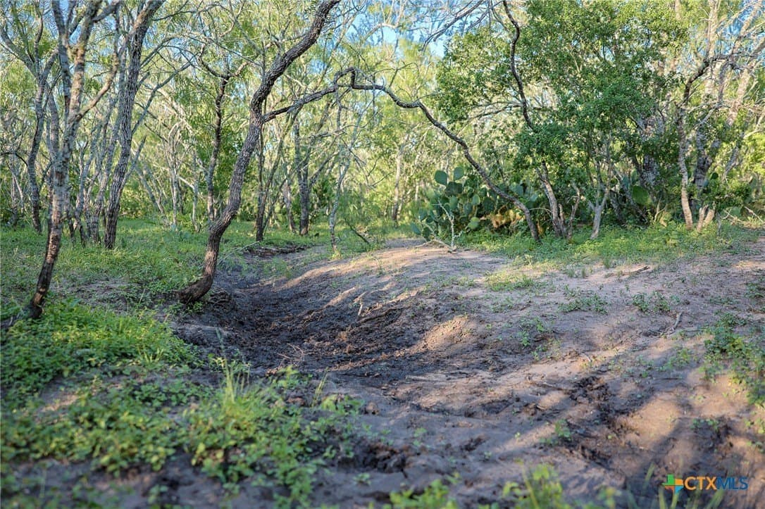 453 acres in Bee County - photo 32