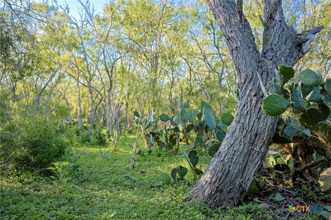 453 acres in Bee County - photo 36