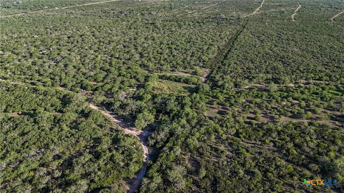 453 acres in Bee County - photo 8