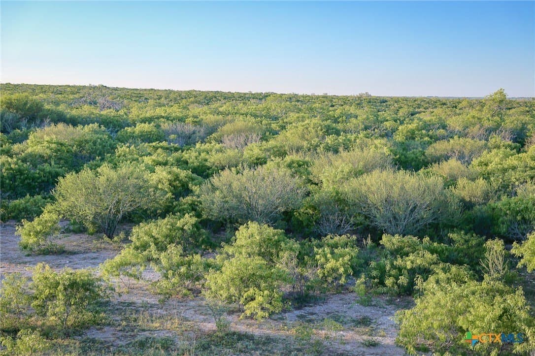 453 acres in Bee County - photo 16
