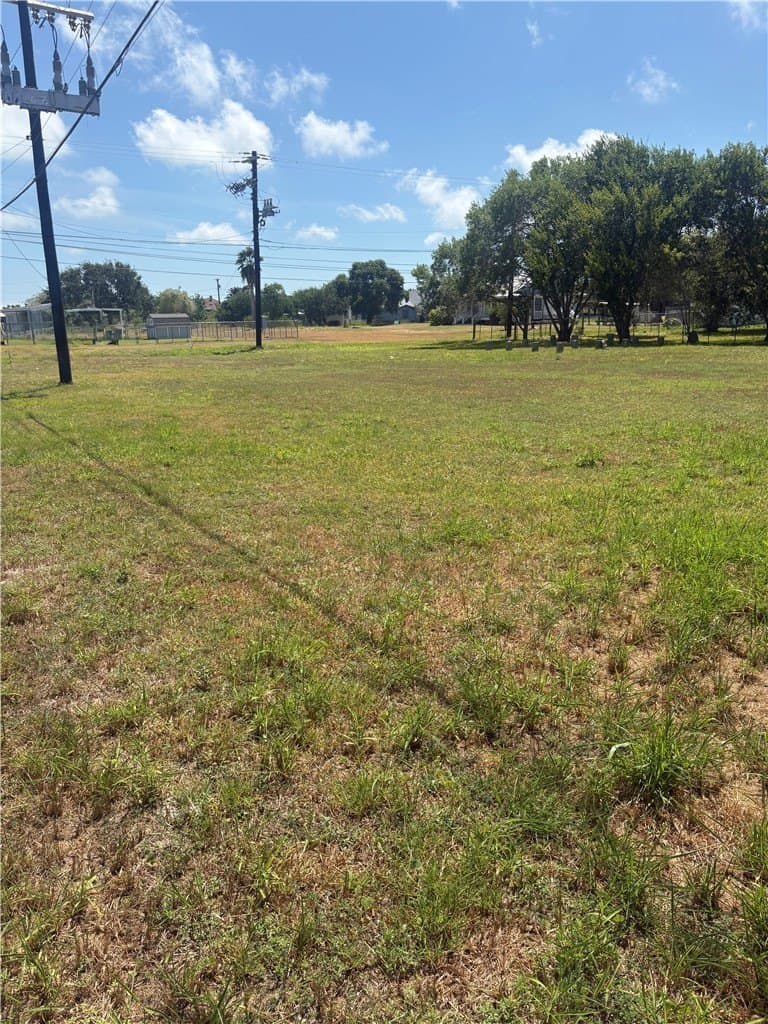 0.26 acres in San Patricio County - photo 7