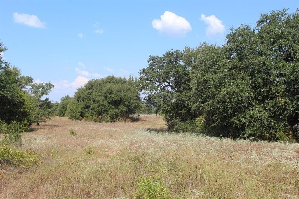 15.8 acres in Palo Pinto County gallery image 2