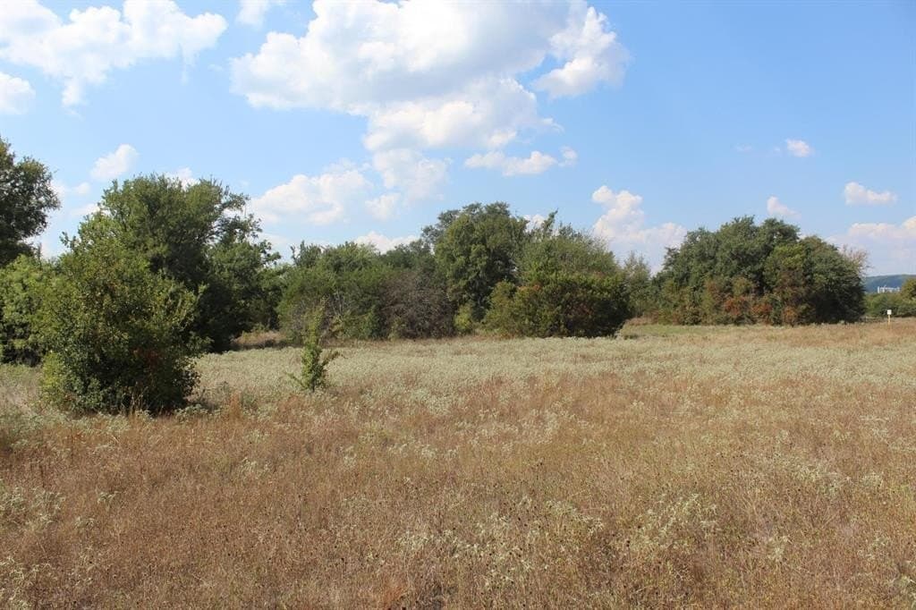 15.8 acres in Palo Pinto County gallery image 4