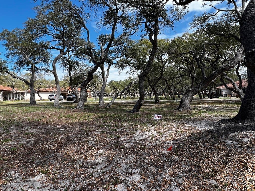 0.14 acres in Texas County gallery image 2