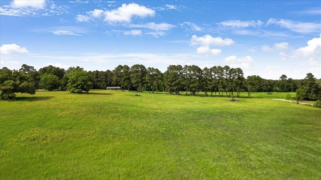 70 acres in Smith County gallery image 3