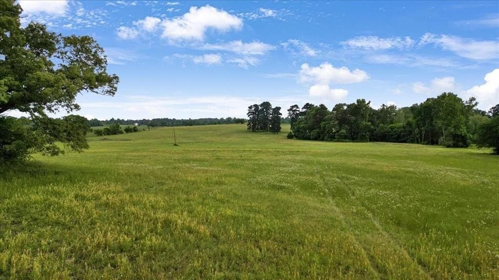 70 acres in Smith County gallery image 4