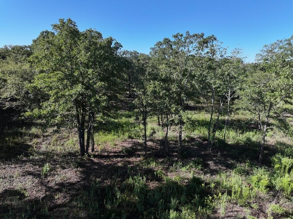 9.44 acres in Henderson County - photo 10