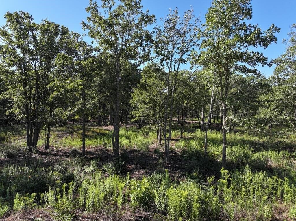 9.44 acres in Henderson County - photo 6