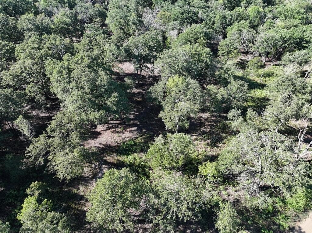9.44 acres in Henderson County - photo 11