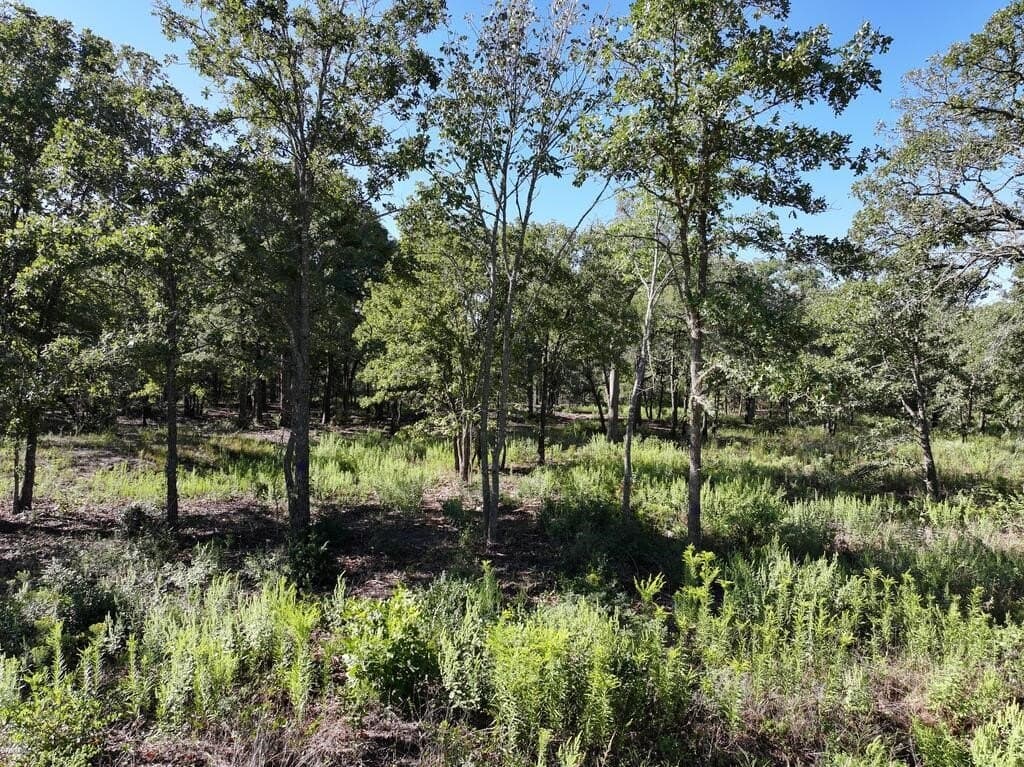 9.44 acres in Henderson County - photo 7