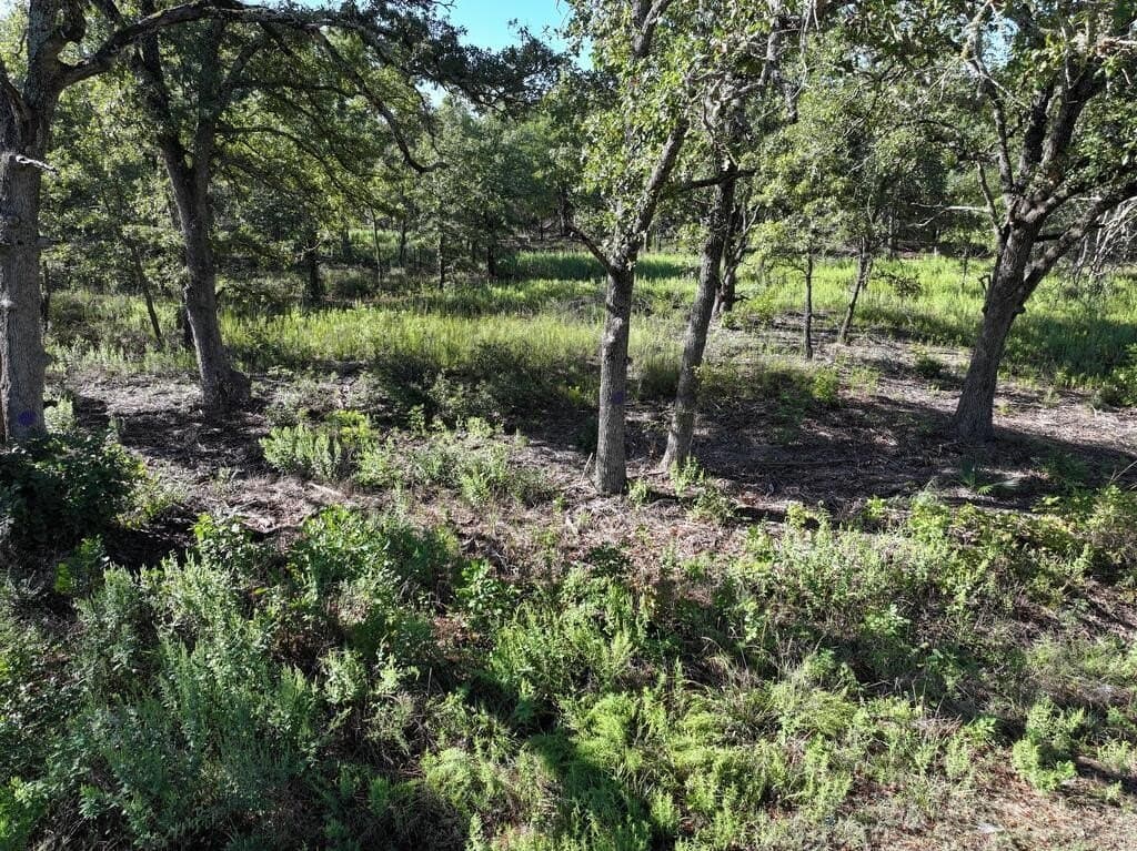 9.44 acres in Henderson County - photo 9