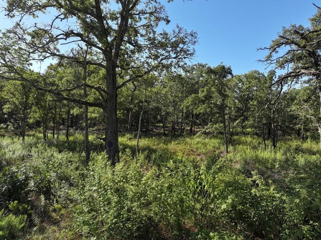 9.44 acres in Henderson County - photo 12