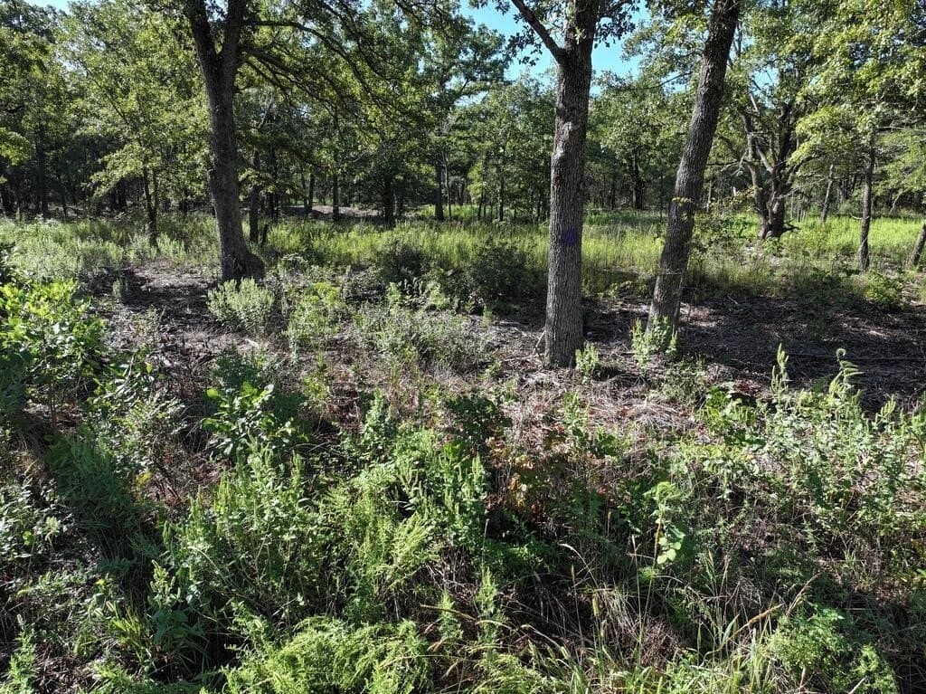 9.44 acres in Henderson County - photo 5