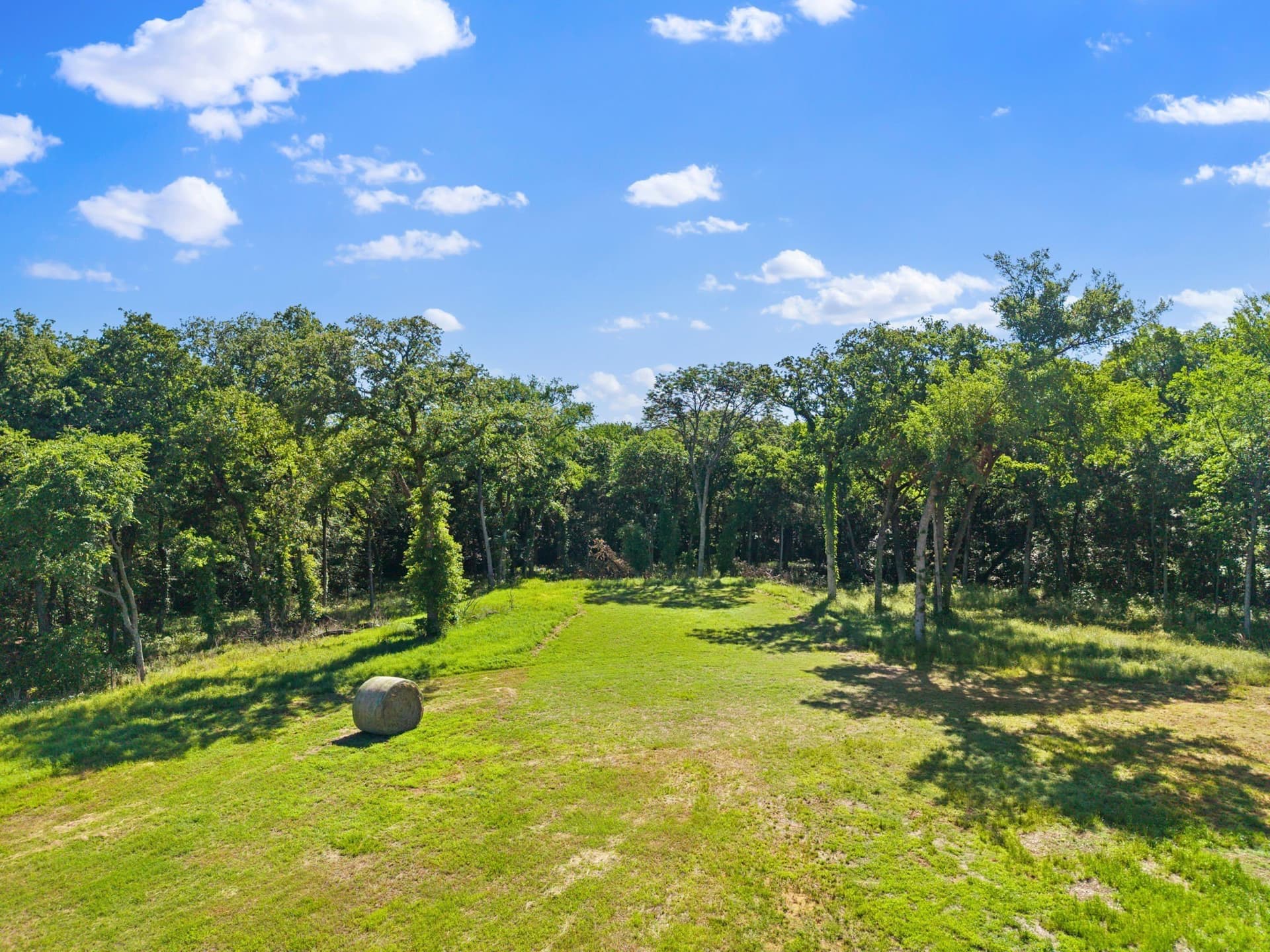 20.54 acres in Grayson County - photo 10