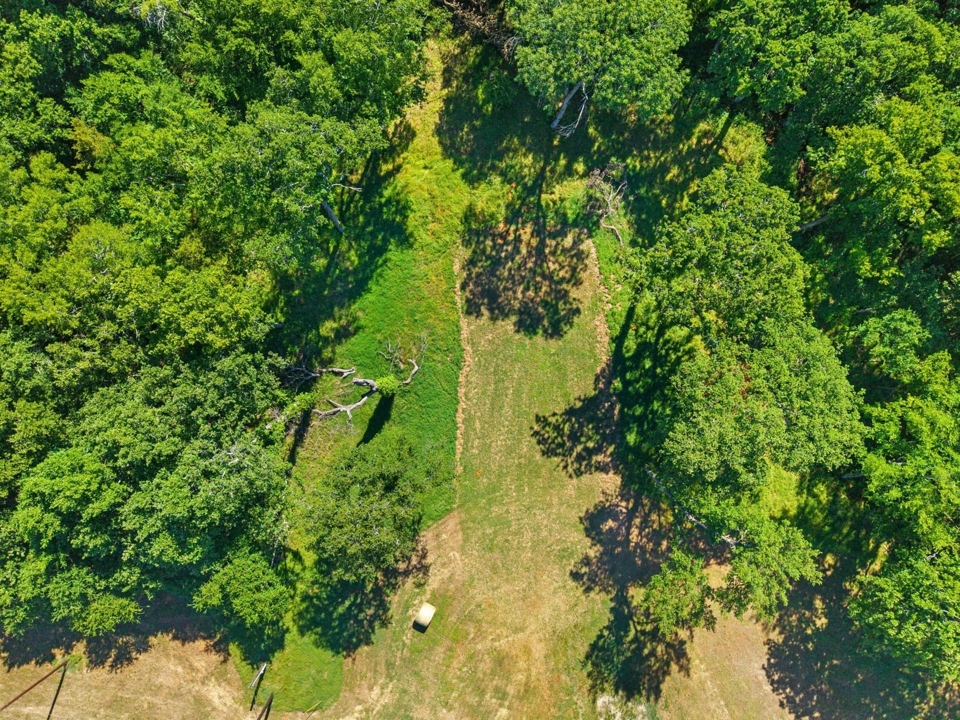20.54 acres in Grayson County - photo 11