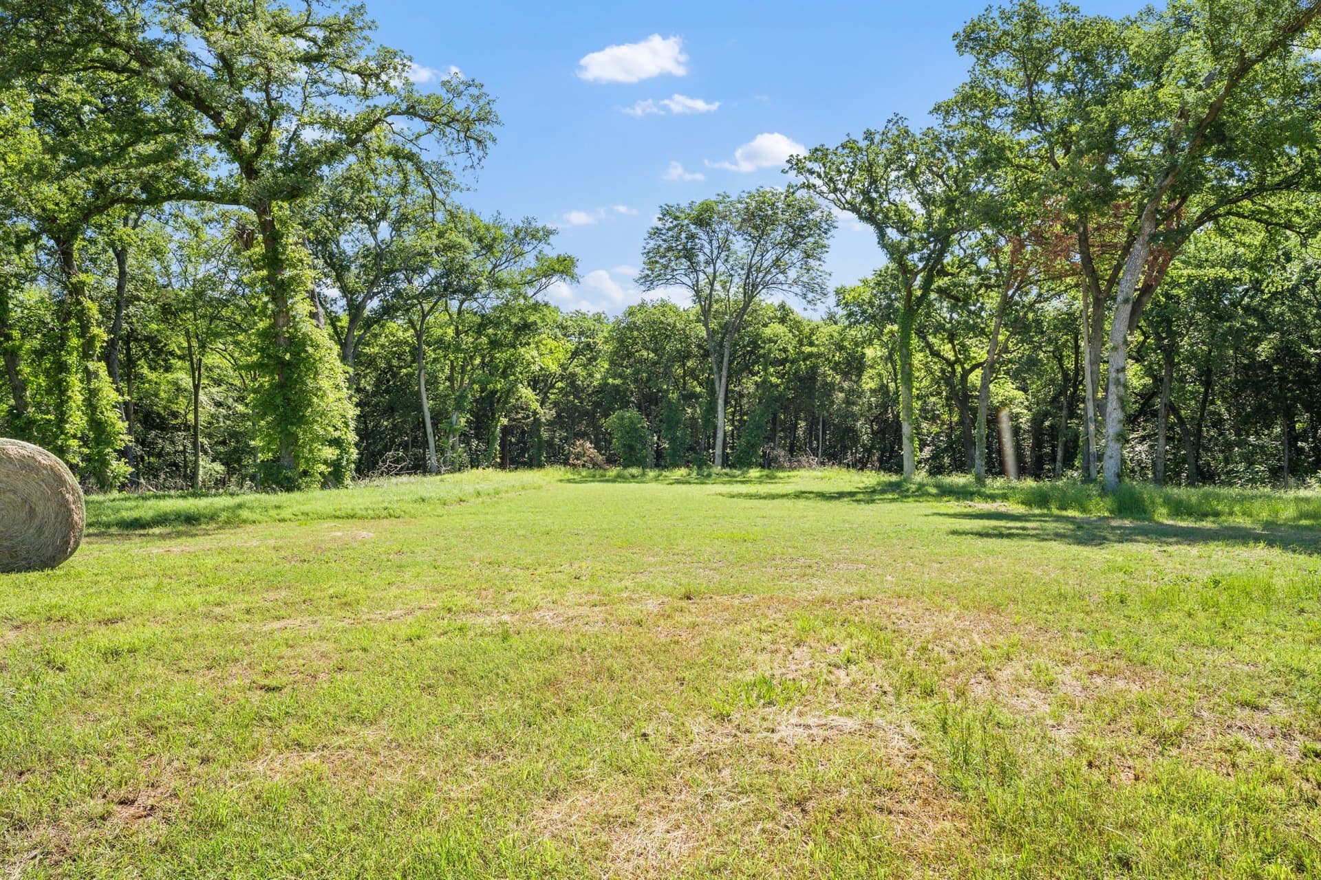 20.54 acres in Grayson County - photo 15