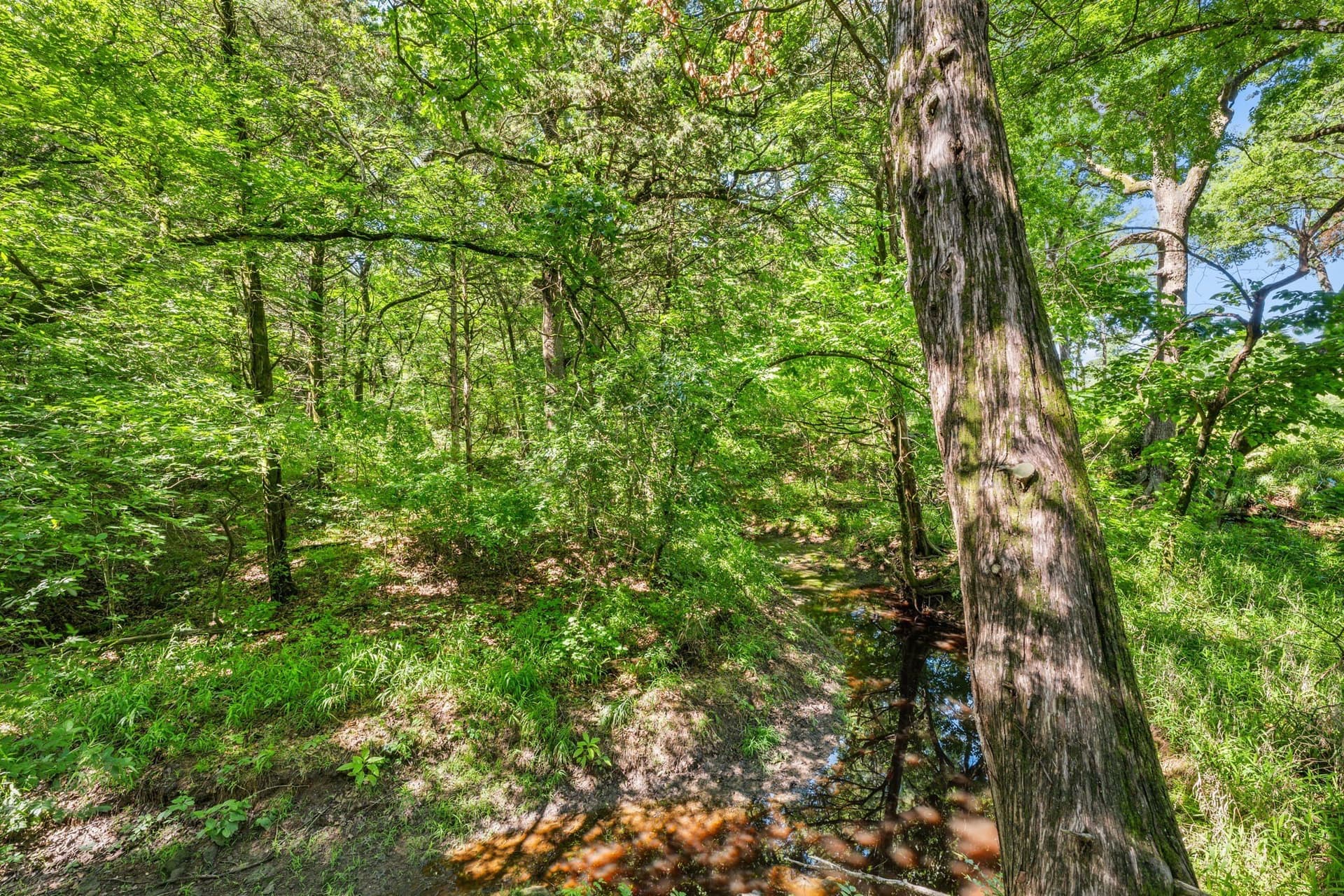 20.54 acres in Grayson County - photo 17