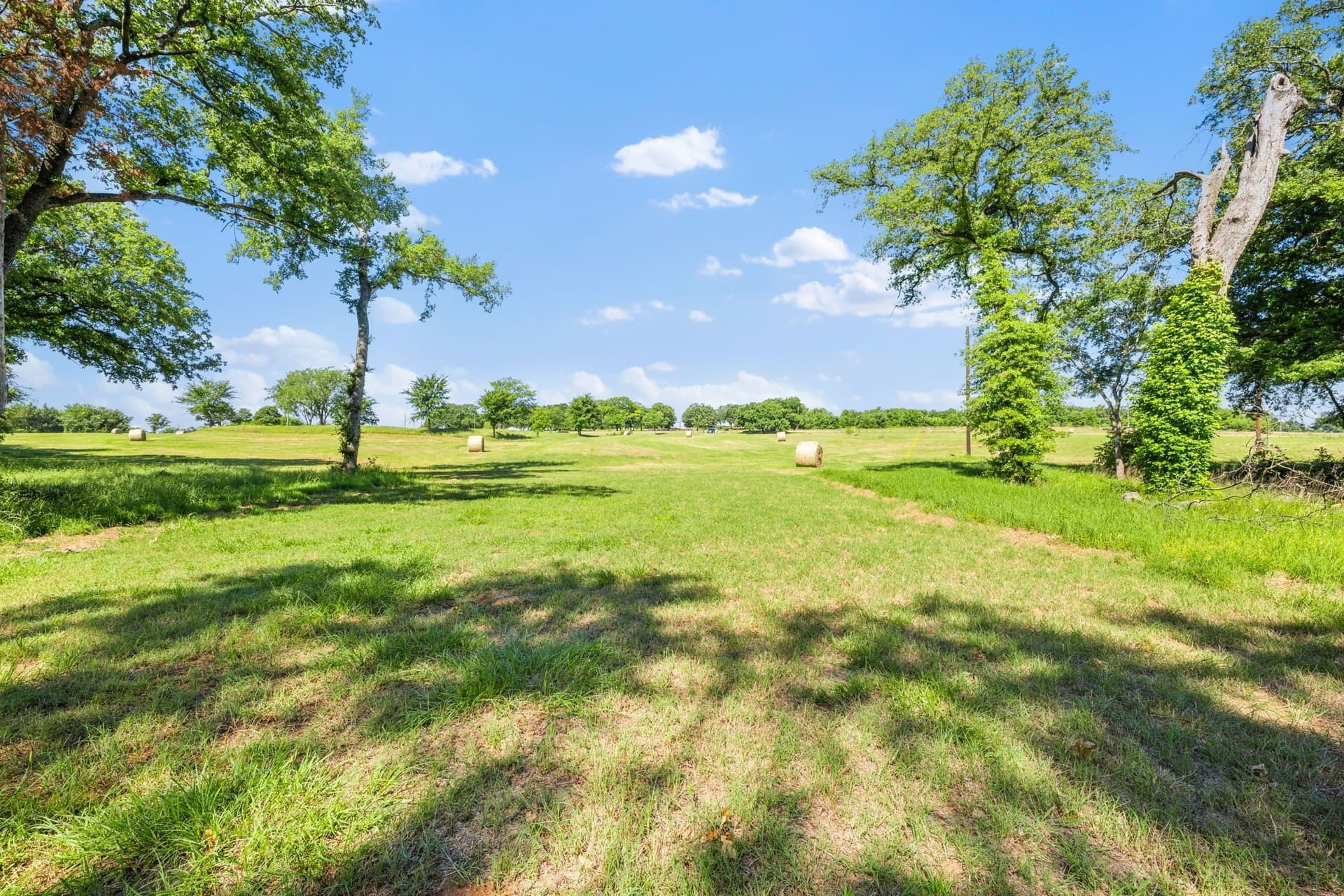 20.54 acres in Grayson County - photo 16