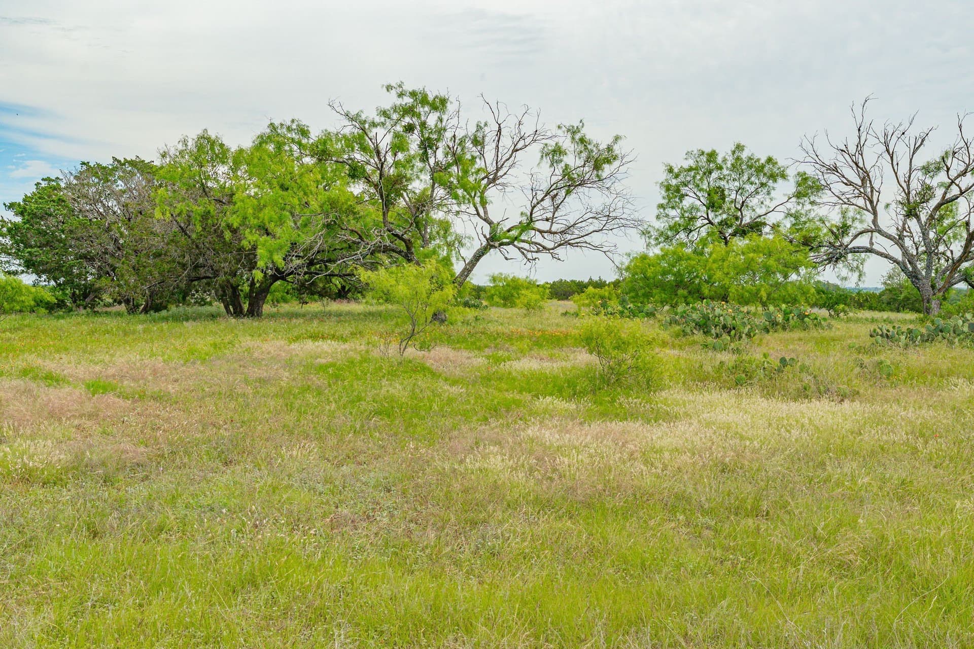 119.91 acres in Erath County - photo 14