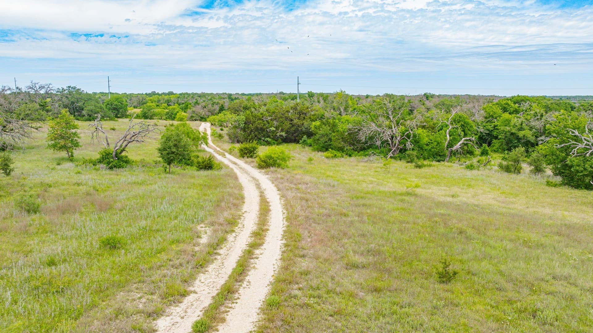 119.91 acres in Erath County - photo 13
