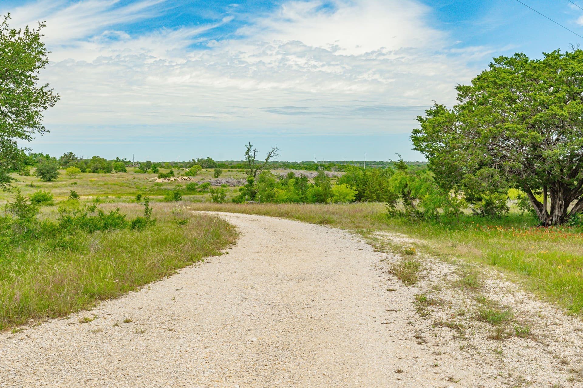 119.91 acres in Erath County - photo 15