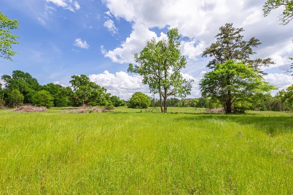 5.82 acres in Texas County gallery image 4