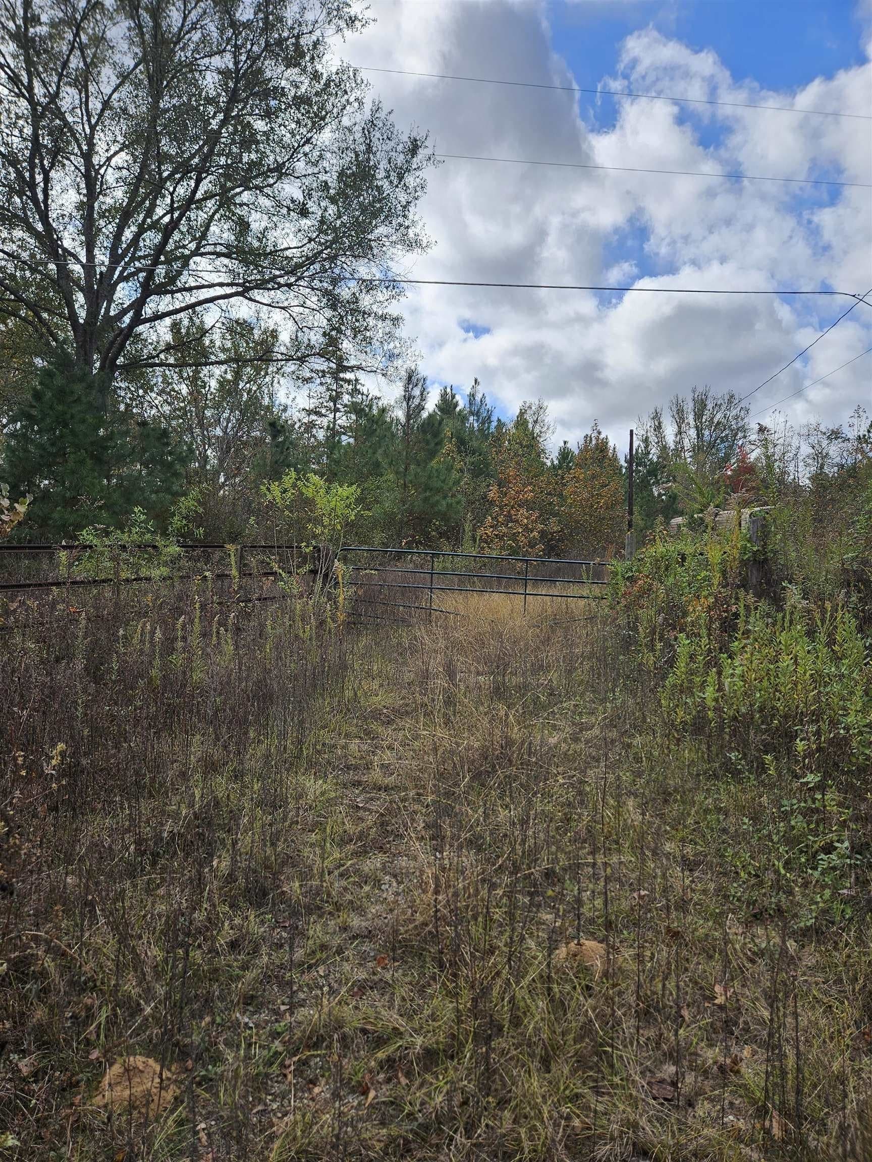 27.79 acres in Smith County gallery image 3